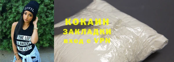прущие грибы Медногорск