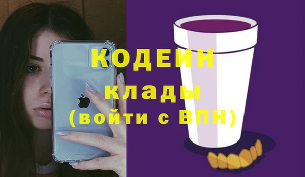 прущие грибы Медногорск