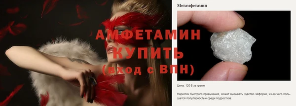 прущие грибы Медногорск
