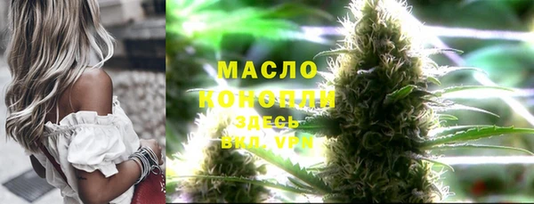 прущие грибы Медногорск