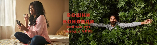 прущие грибы Медногорск