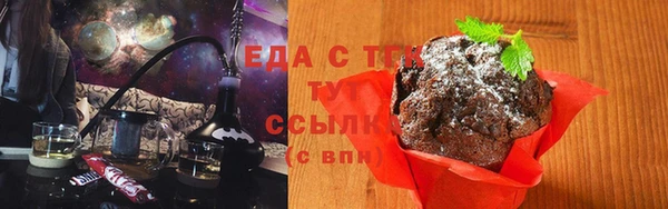 прущие грибы Медногорск