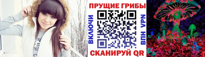 купить   Жигулёвск  Галлюциногенные грибы Psilocybe 
